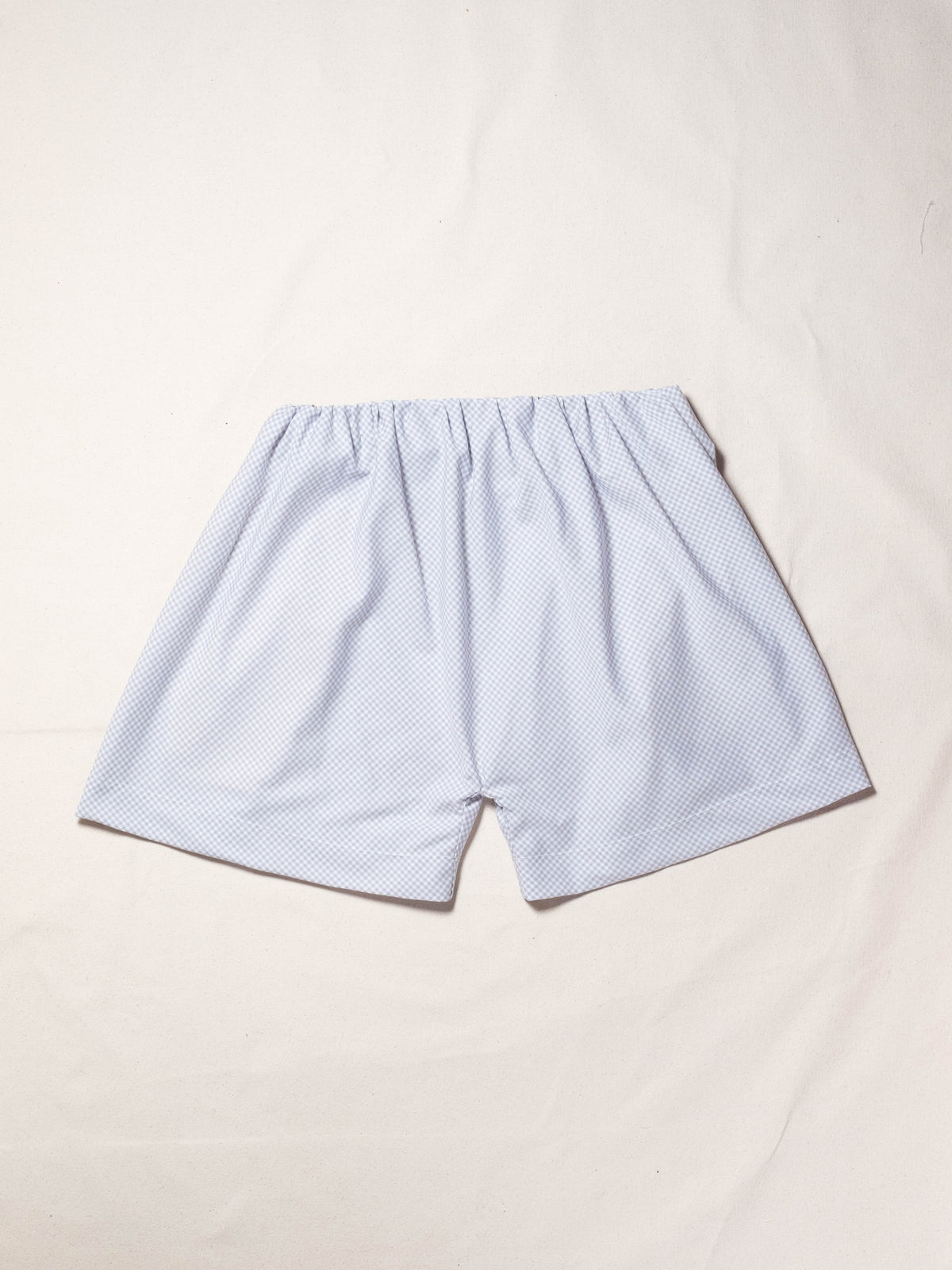 Boxer Shorts in Blue Gingham