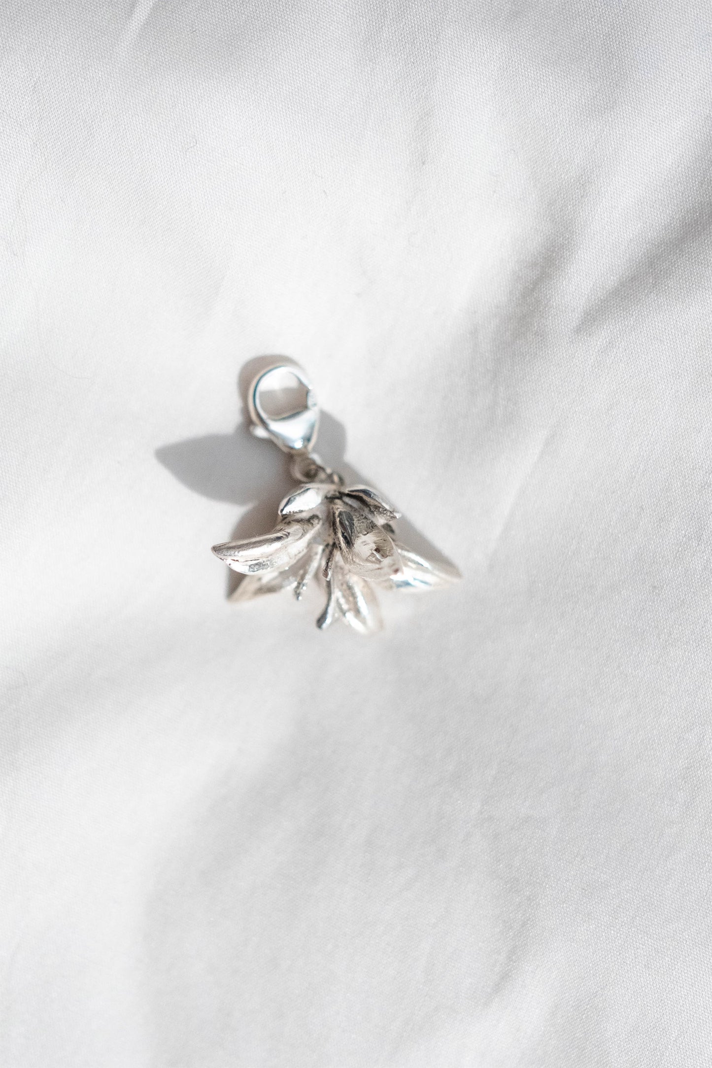 Charm