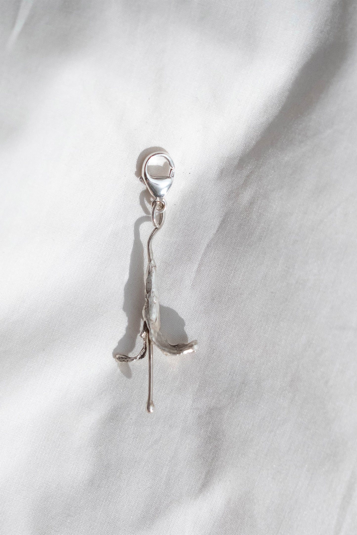 Charm