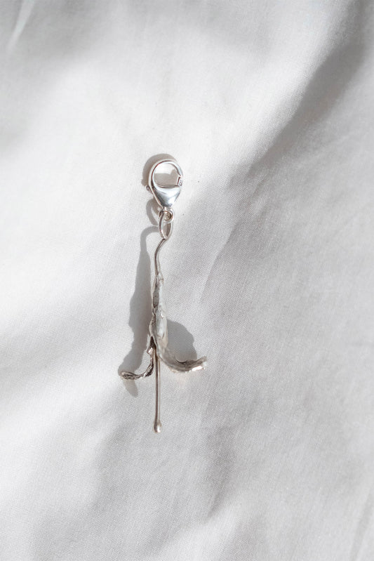 Charm